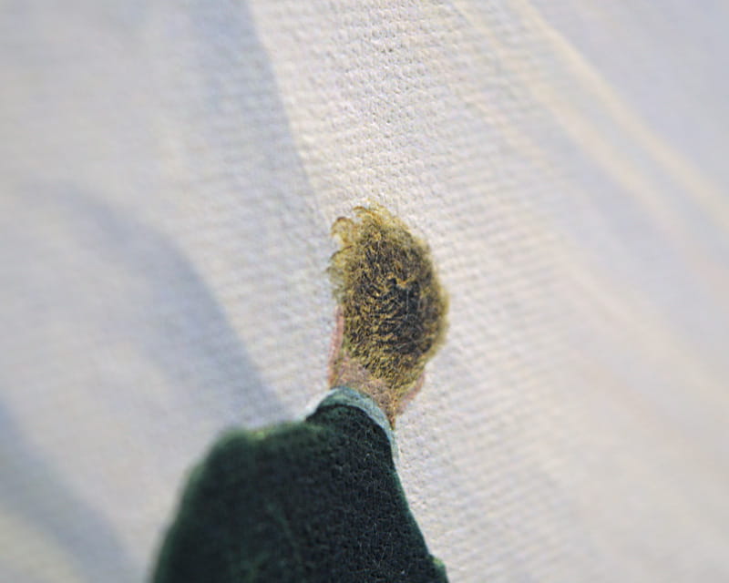 Lærred Raphael (mat) (Epson Premium Canvas Matte)  18