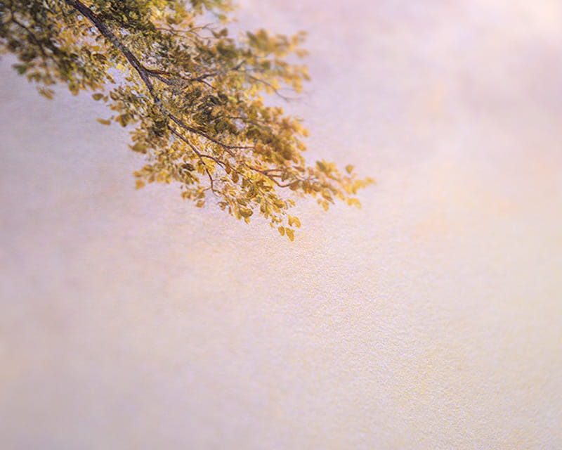 FineArt Foto Mat (Museum Naturlig Glat)  25