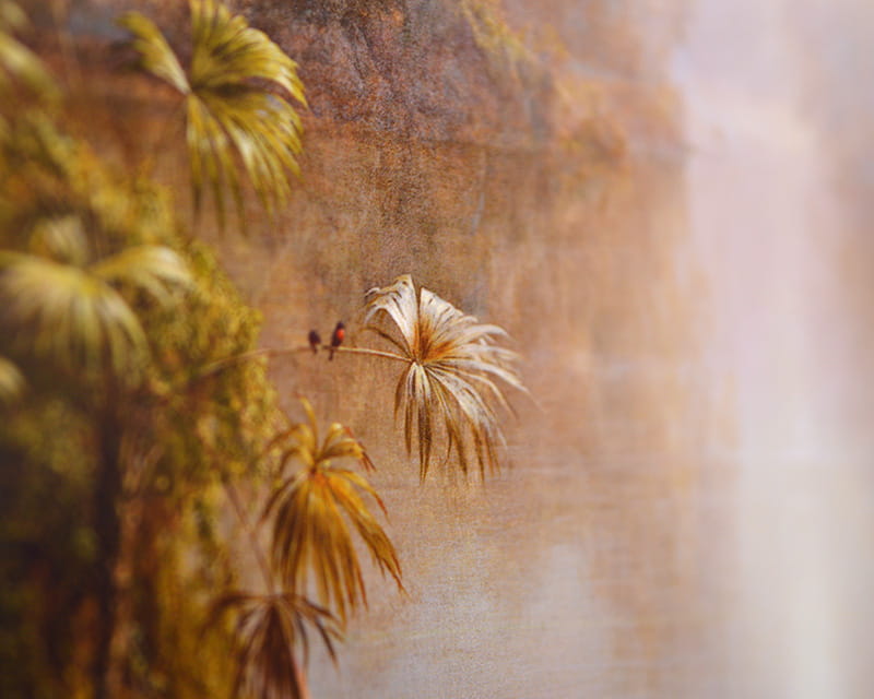 FineArt Foto Satin (Foto Pearl 300)  23