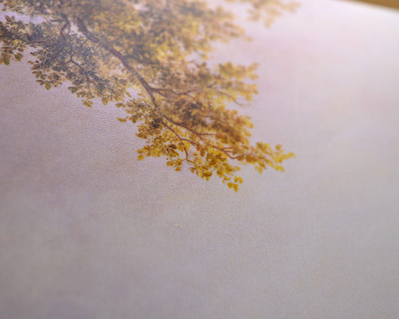 FineArt Foto Satin (Foto Pearl 300)  24