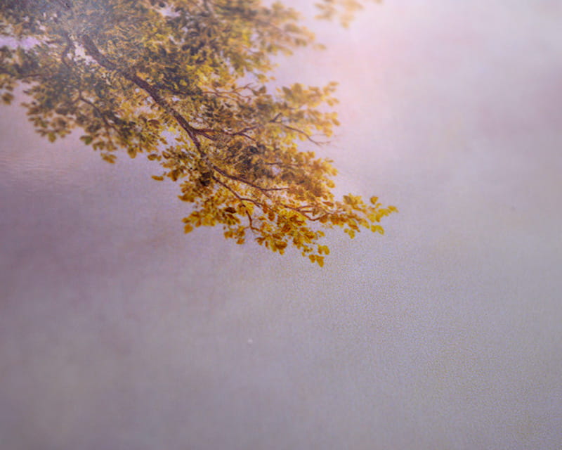 FineArt Foto Blank (PGC 310 FD)  28
