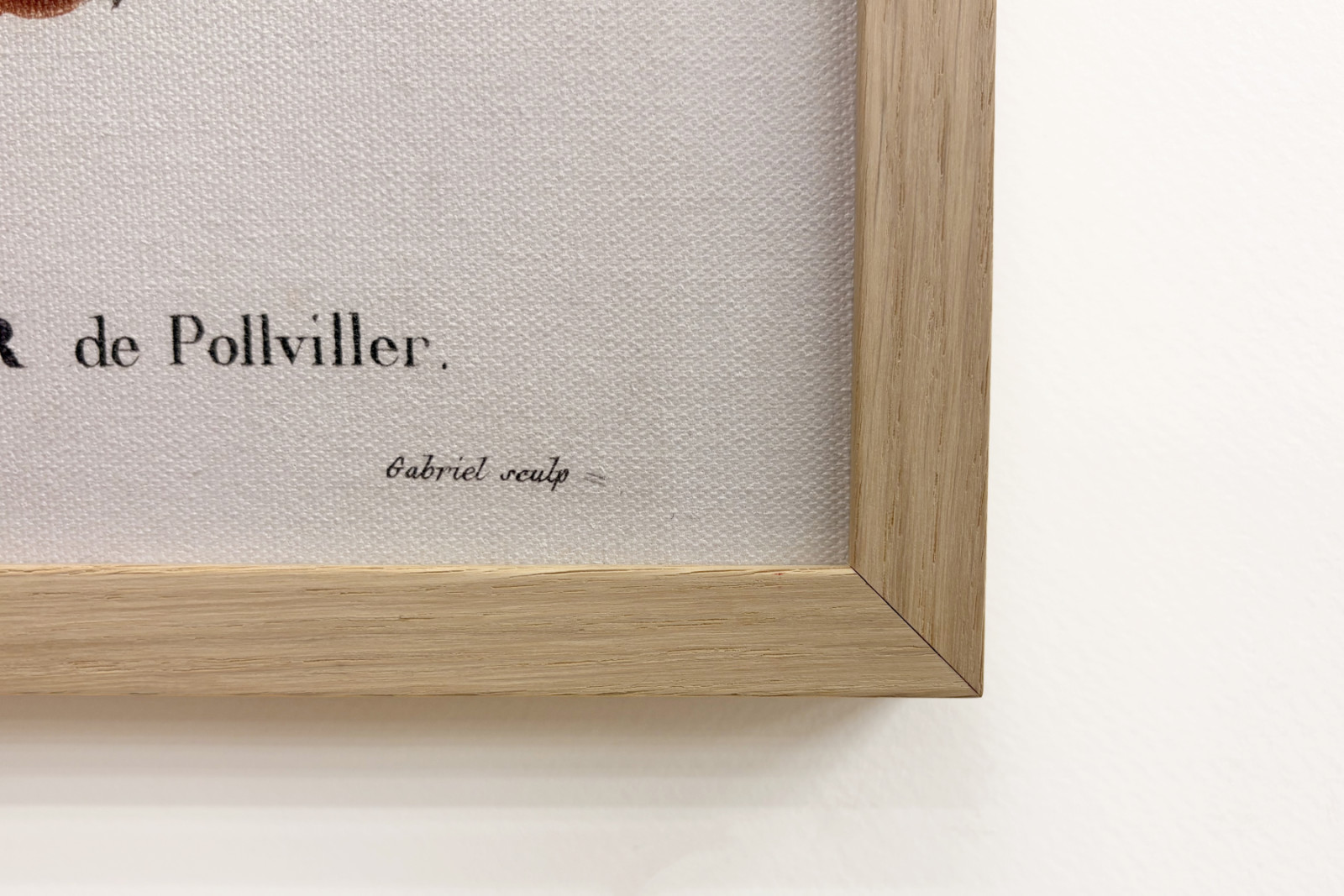 Poirier de Pollviller - i "" New Duhamel du Monceau eller afhandling om træer og buske, der dyrker i Frankrig"", figurer ifølge tegningerne af P.J. Redoute og P. Bessa, Paris - Pierre Joseph (after) Redoute
