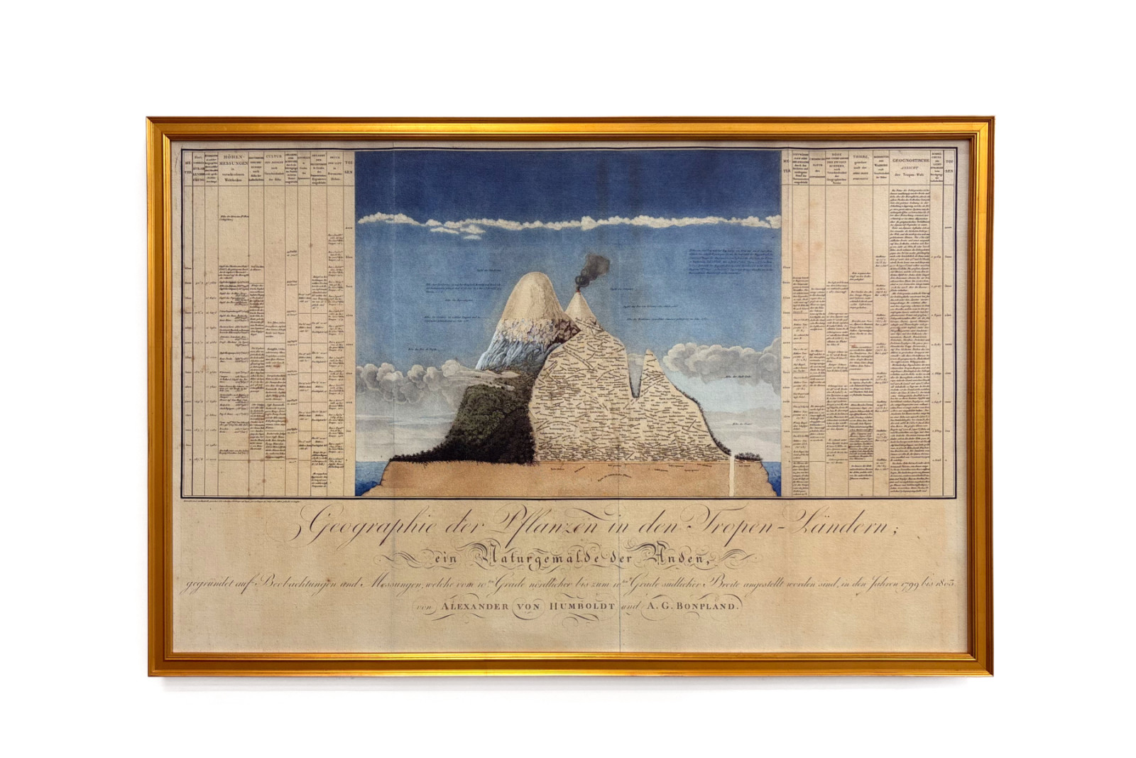 Planternes geografi i tropiske lande, en undersøgelse af Andesbjergene, tegnet af Schoenberger og Turpin, trykt af Langlois, Paris - Baron Friedrich Alexander von Humboldt