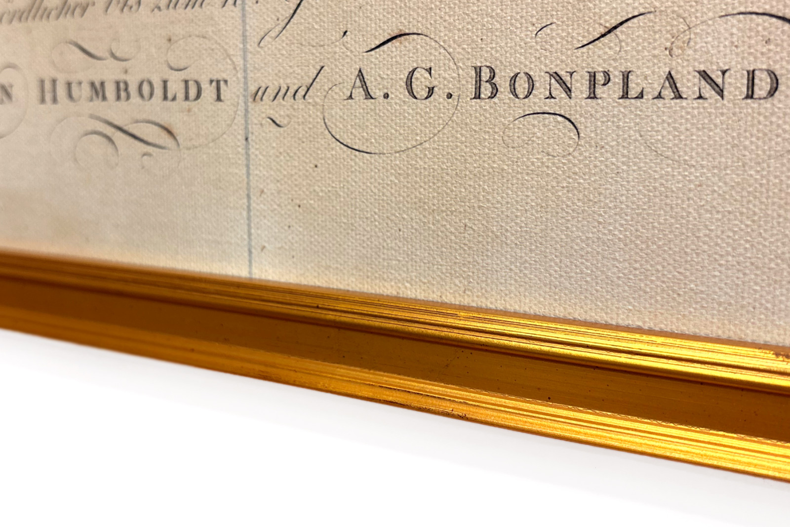 Planternes geografi i tropiske lande, en undersøgelse af Andesbjergene, tegnet af Schoenberger og Turpin, trykt af Langlois, Paris - Baron Friedrich Alexander von Humboldt