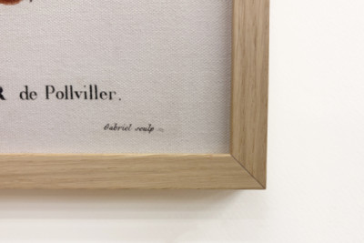 Poirier de Pollviller - i "" New Duhamel du Monceau eller afhandling om træer og buske, der dyrker i Frankrig"", figurer ifølge tegningerne af P.J. Redoute og P. Bessa, Paris