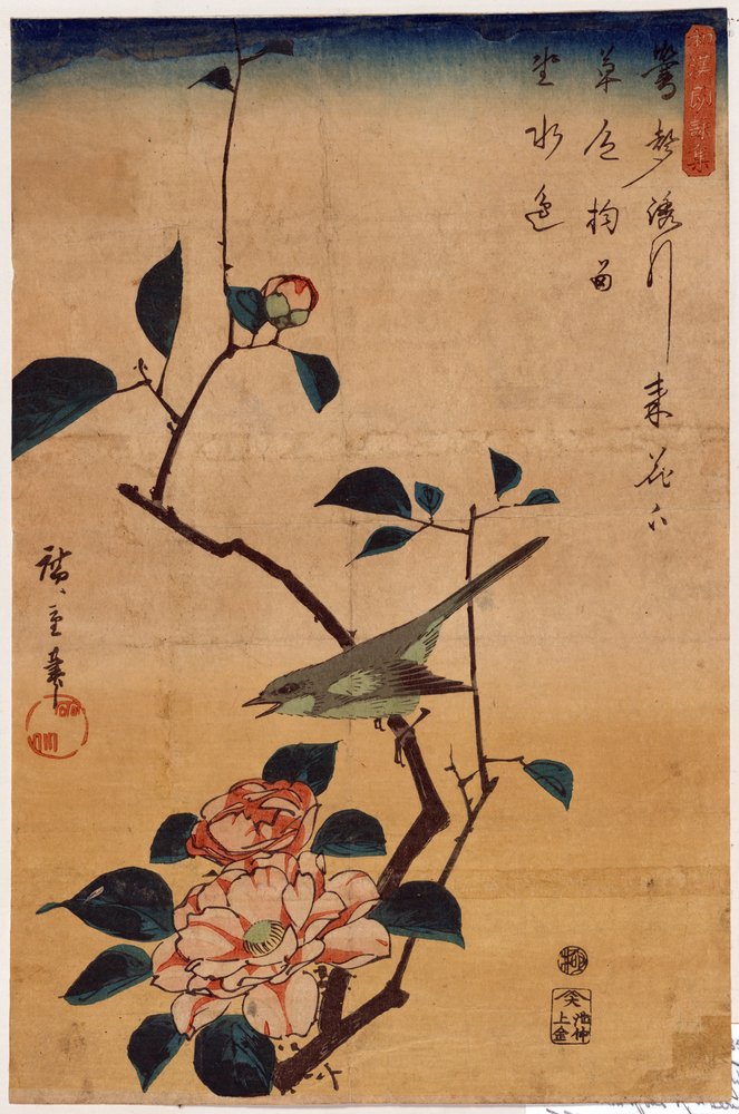 Tsubaki ni Uguisu (Camellia og Bush Warbler) af Utagawa Hiroshige