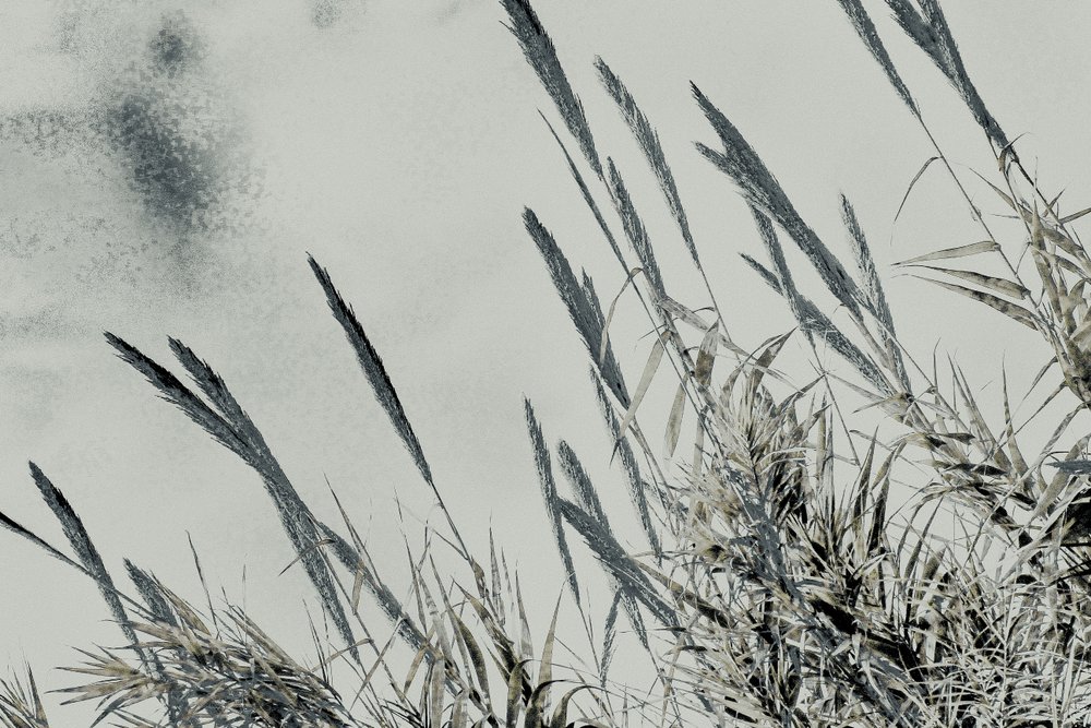 Harvest, 2017 (håndmalet fotografi) af Alice Gur-Arie