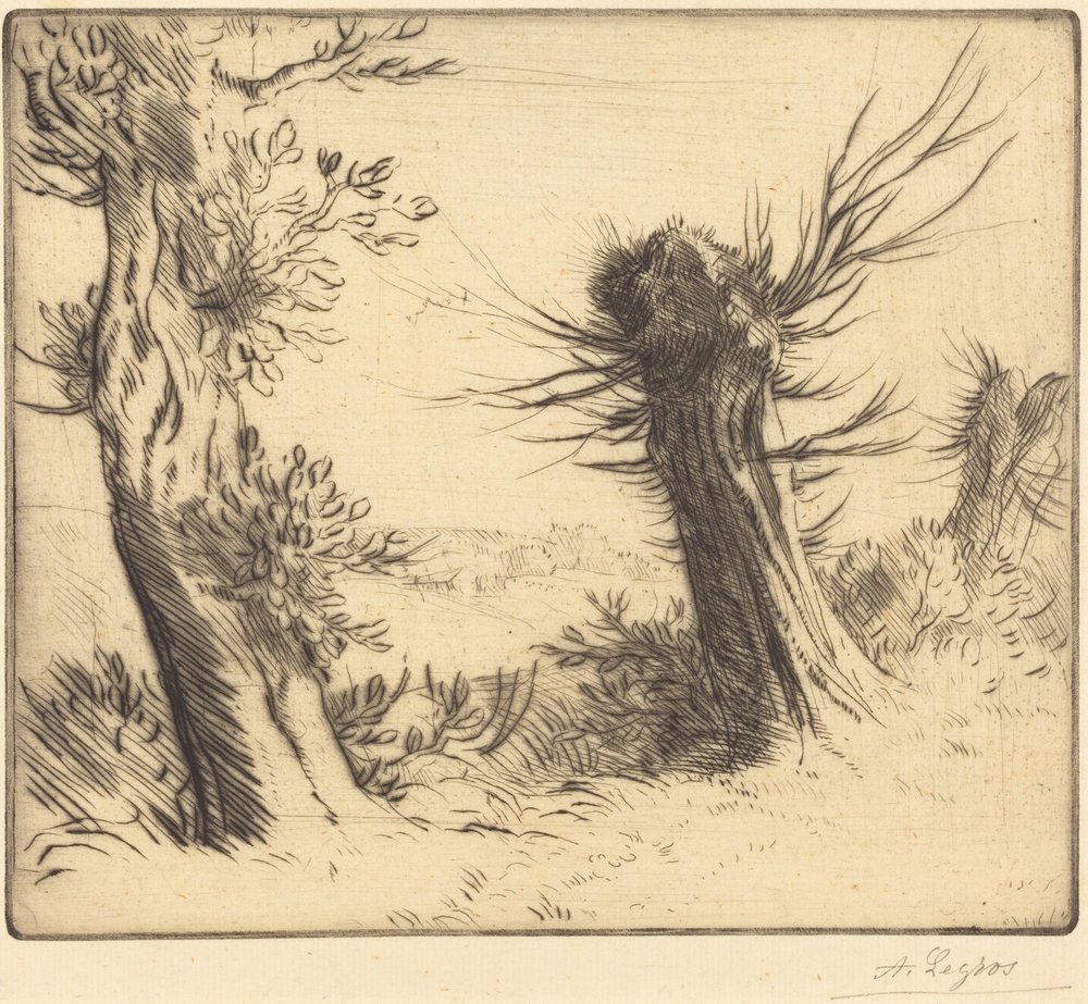 Piletræer (Les saules) af Alphonse Legros