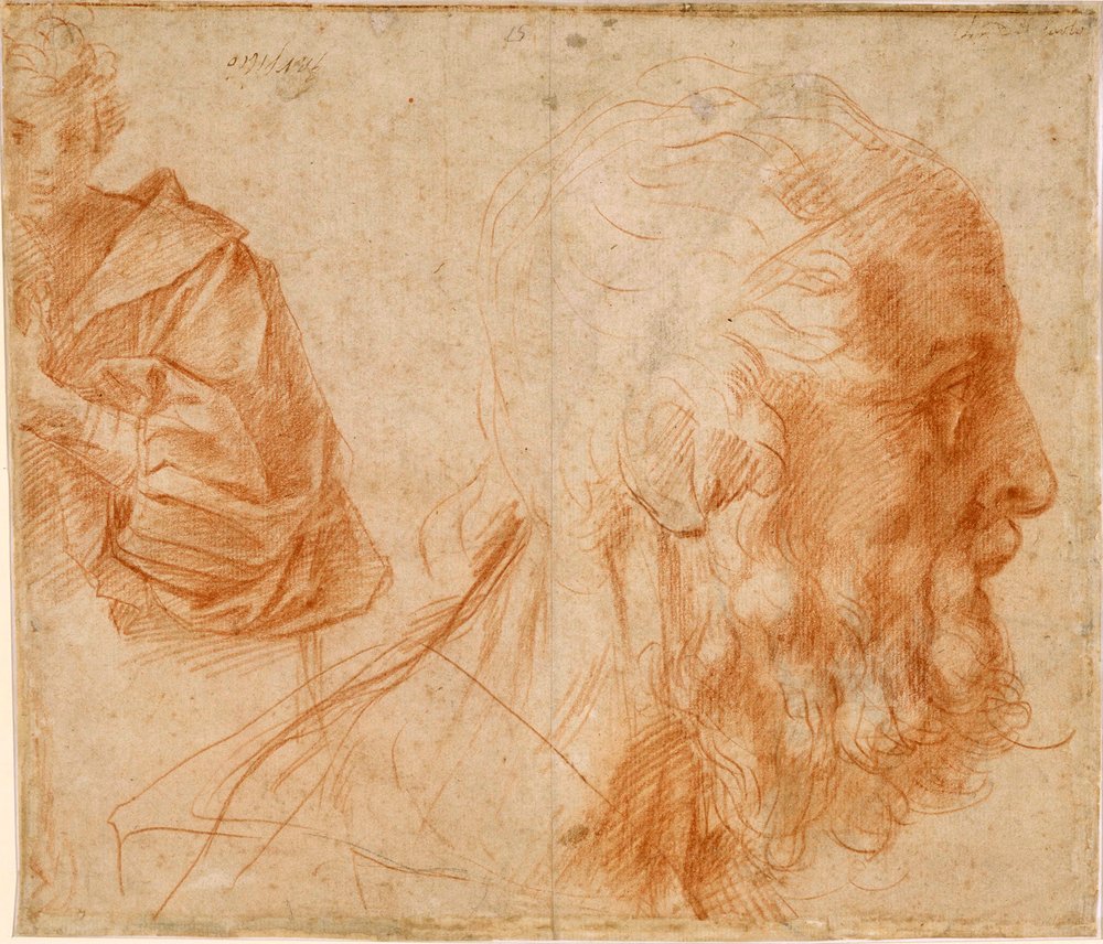 ""Ung mand og hovedet af en gammel mand, sandsynligvis Homer"" (En ung og hovedet af en gammel mand (Homer?)) Tegning af rødkridt af Andrea del Sarto (1486-1531) Dim 23,9x27,7 cm Study Sanguine på papir ca 1521 Staatliche Museen, Berlin af Andrea del Sarto