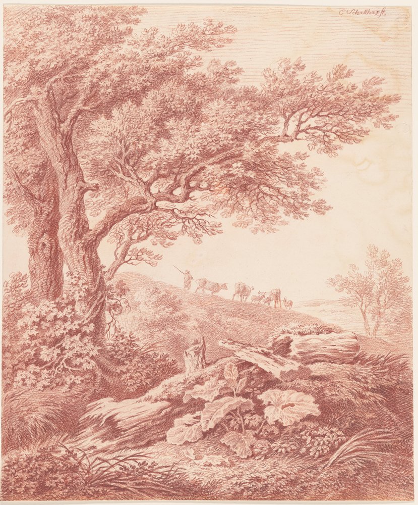 Gamle træer i et pastoralt landskab af Carl Philipp Schallhas