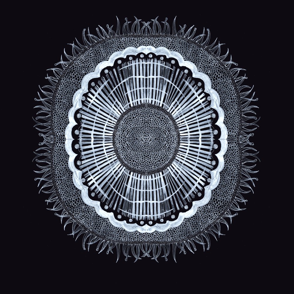 Plant Cell 0.2, 2019 (pen og blæk) af Charlotte Orr