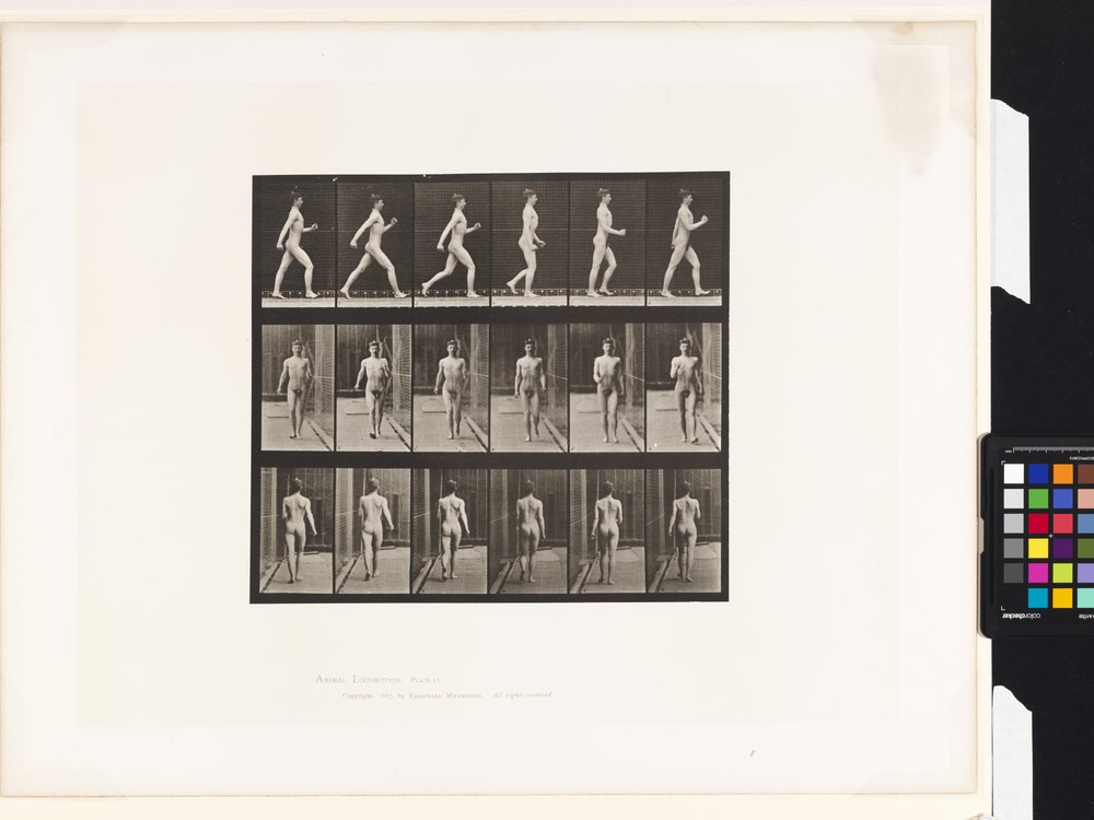 Plade 10.Gå af Eadweard Muybridge
