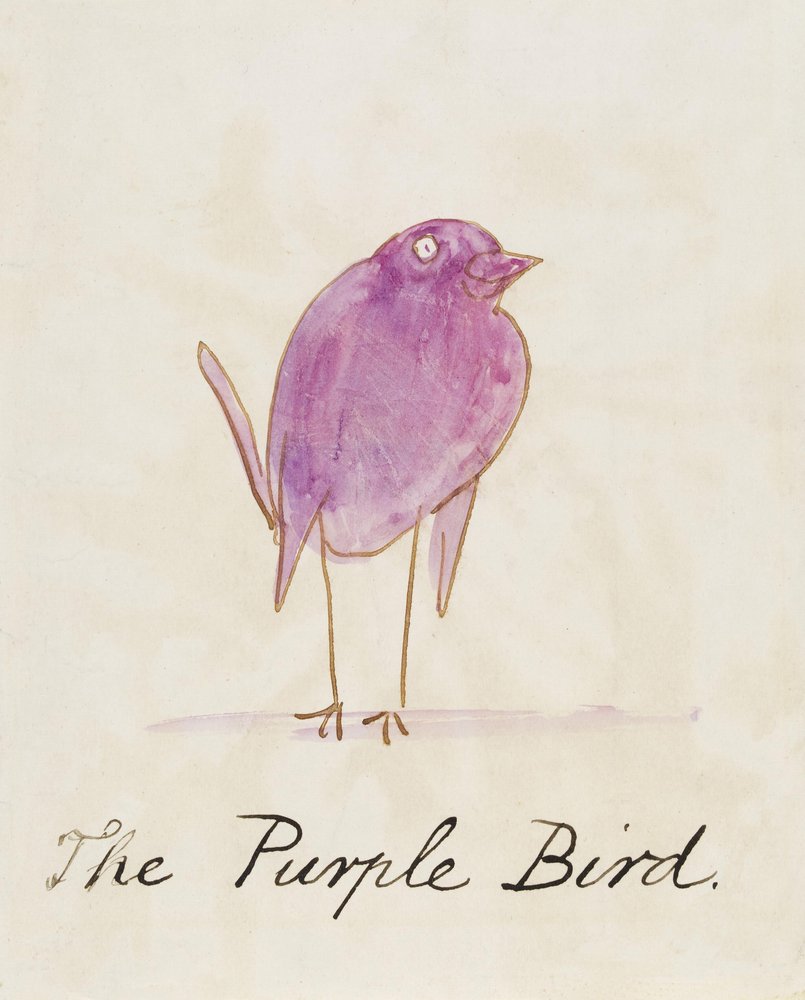 Den lilla fugl, fra "Seksten tegninger af komiske fugle" af Edward Lear