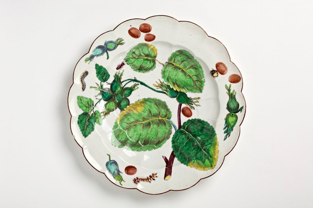Chelsea tallerken dekoreret med botanisk illustration af nødder, insekter og blade, 1755 (porcelæn) af English School