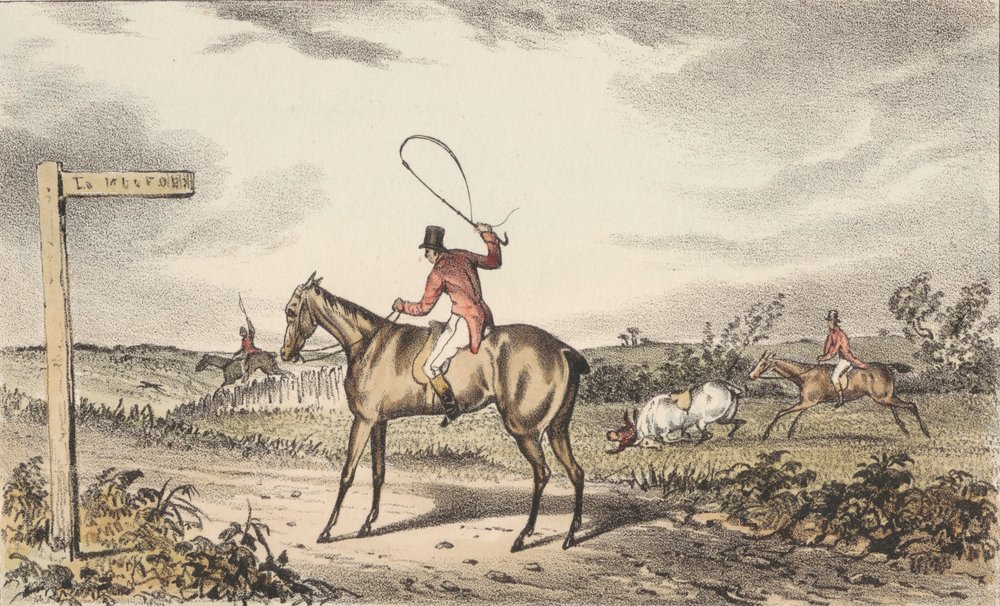 [Rævejagt] Sæt med tolv "Turner