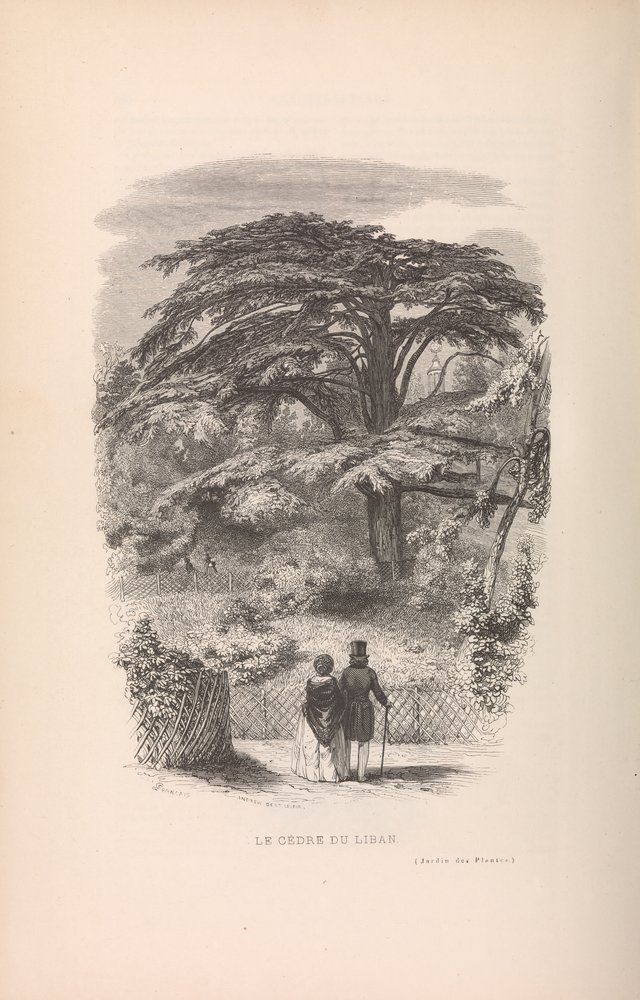 Den botaniske have, beskrivelser og manerer af pattedyr, 1842. af Francois Boitard