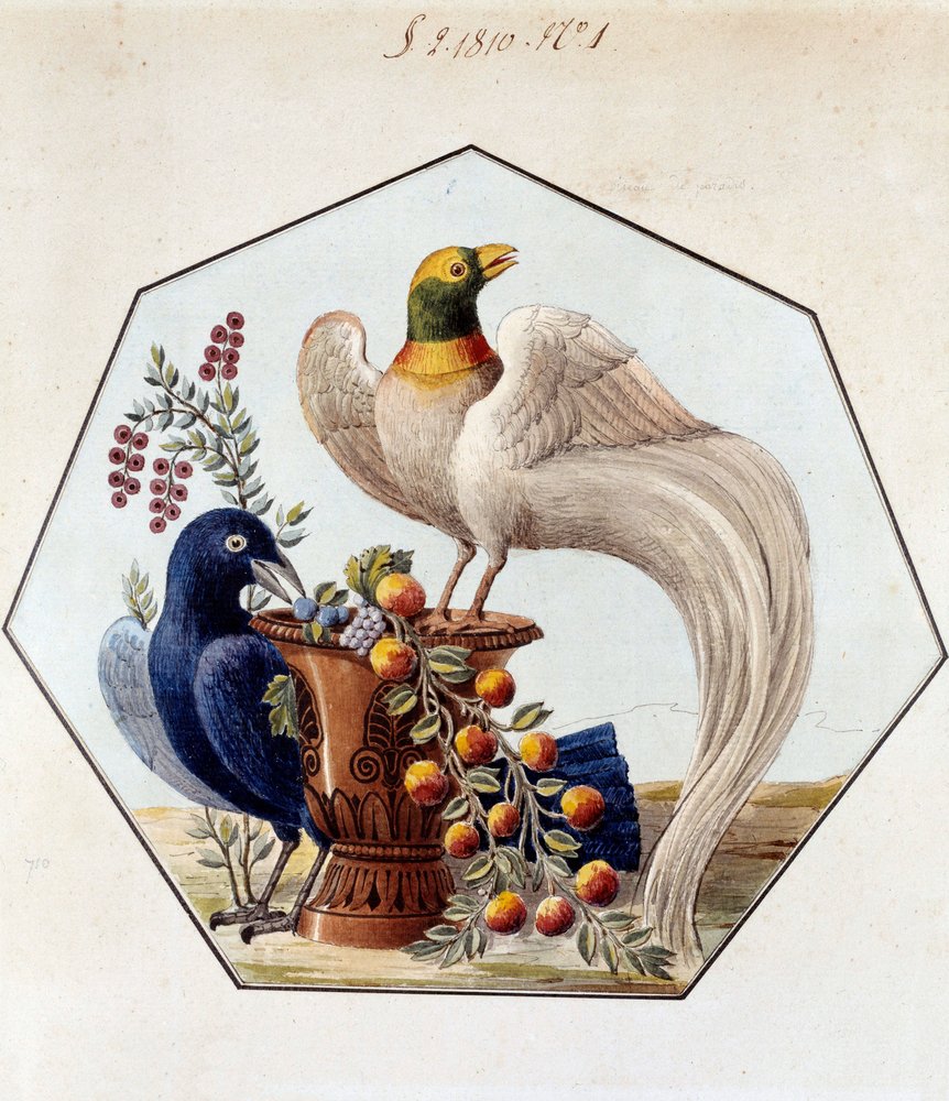 Projekt til fuglebordet i porcelæn af Alexandre Brongniart (1770-1847). 1810 Sevres, arkiver for Manufacture de Sevres af French School