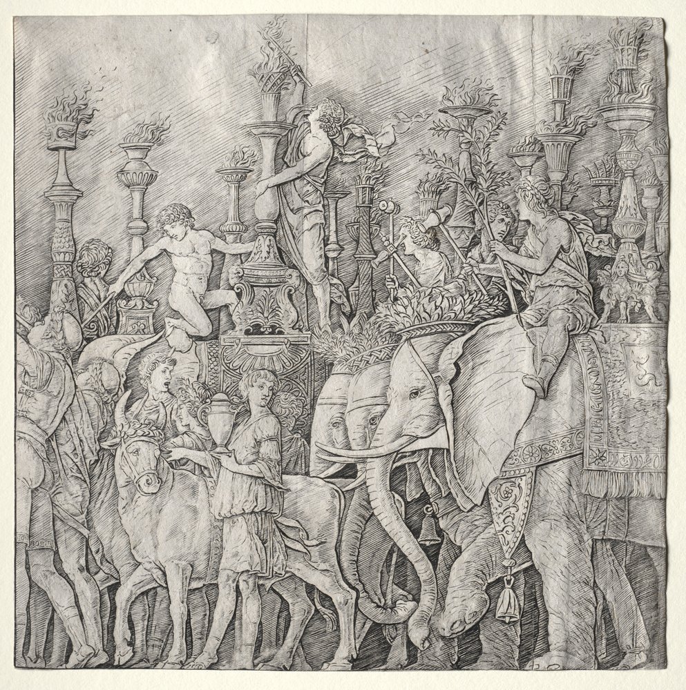 Cæsars triumfer: Elefanterne af Giulio Campagnola