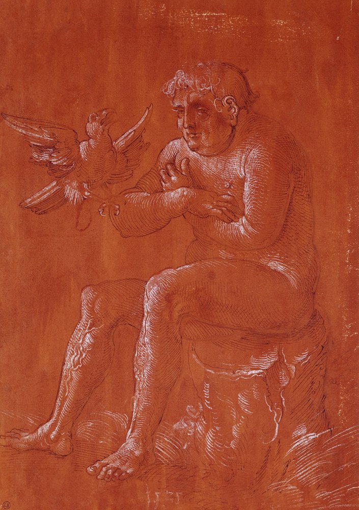 Nøgen mand siddende på en træstamme og lyttende til en papegøje af Hans Baldung Grien
