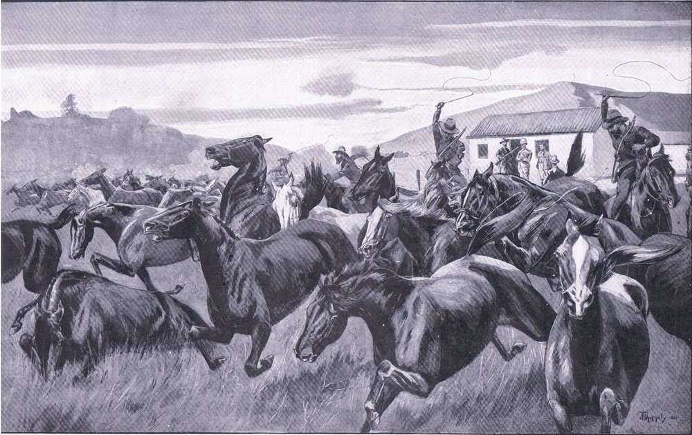 Boere, der angriber Remount-depotet ved Braamfontein, fra After Pretoria: The Guerilla War udgivet af Harmsworth Bros Limited, 1901 af J. H. Thornely