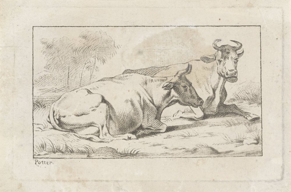 To liggende køer af Jacobus Buys