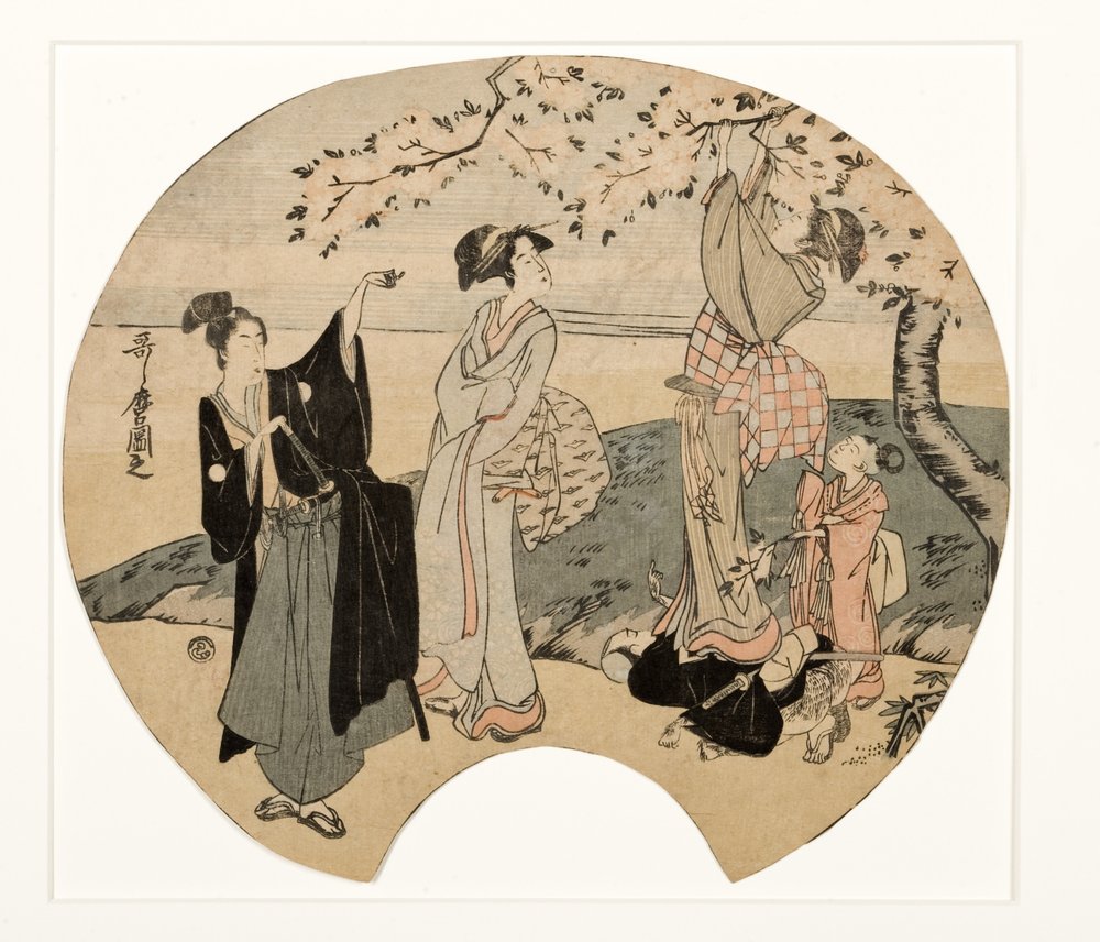 Ser på kirsebærblomster, 1794-96 (træblok) af Kitagawa Utamaro