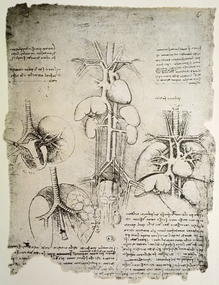 Hjertet og kredsløbet, faksimile af Windsor-bogen (pen og blæk på papir) af Leonardo da Vinci