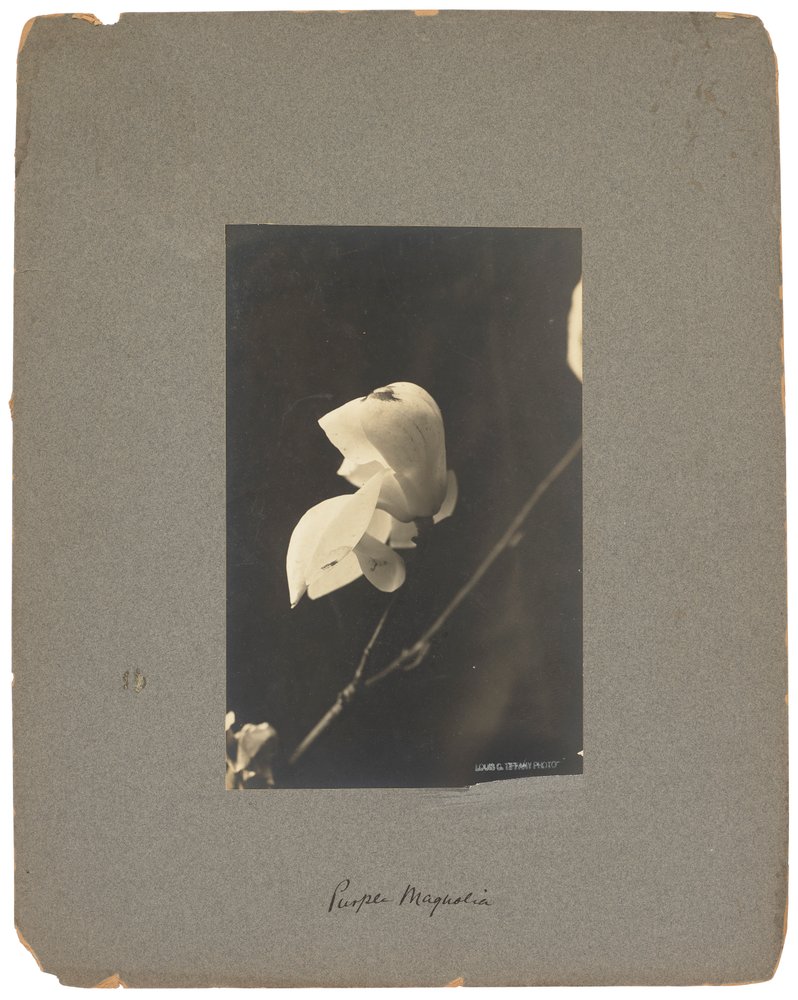 Tiffany Studios, ca. 1898-1920 (fotografi s/h) af Louis Comfort Tiffany