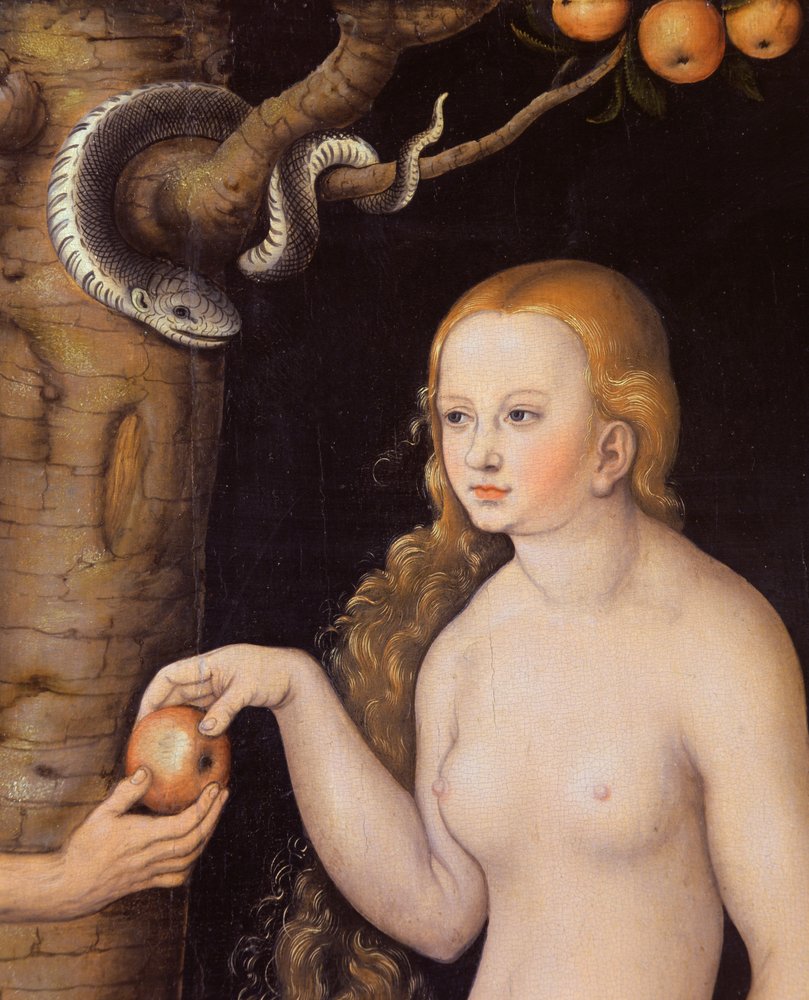 Eva tilbyder Adam æblet i Edens Have og slangen, ca. 1520-25 olie på træ detalje af 407328 af Lucas Cranach the Elder