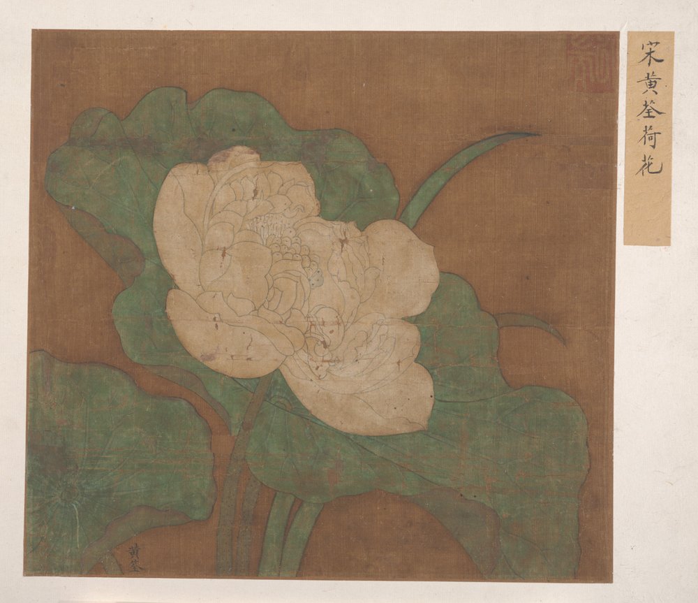 Lotus (albumblad; blæk og farve på silke) af Ming Dynasty Chinese School