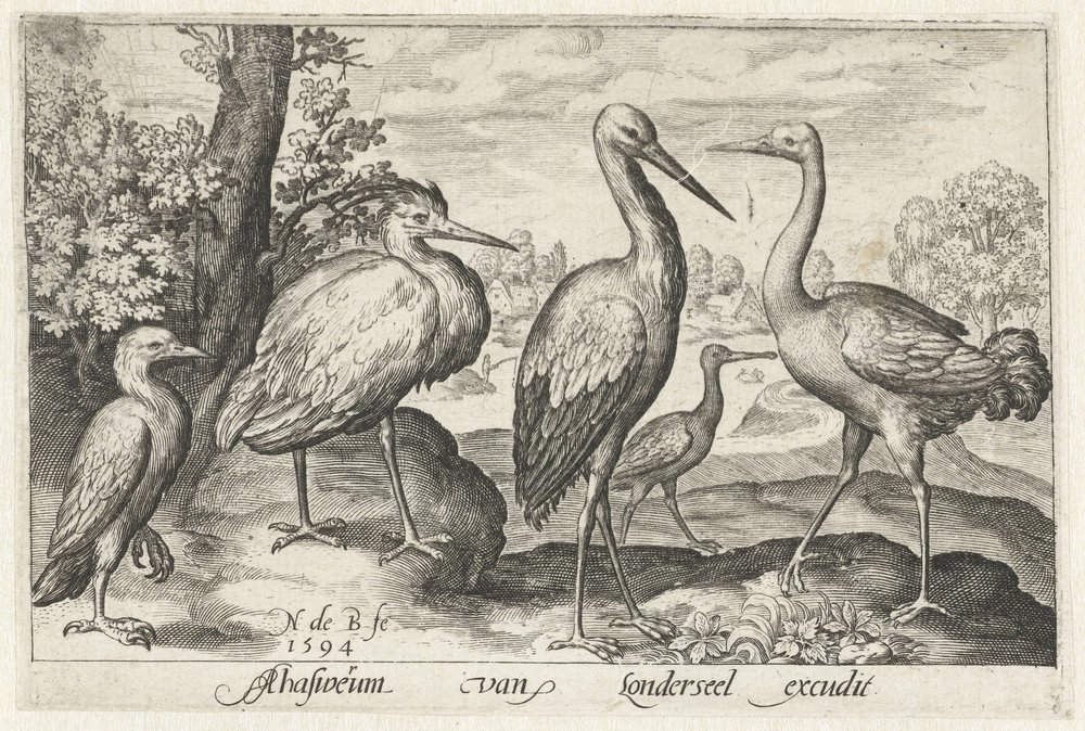 Stork, trane, hejre og skestork. Fugle og insekter (serietitel) af Nicolaes de Bruyn
