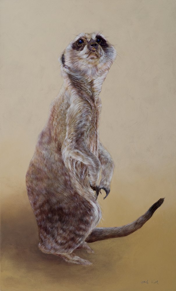 Meerkat 2, 2010 (akryl på træ) af Odile Kidd