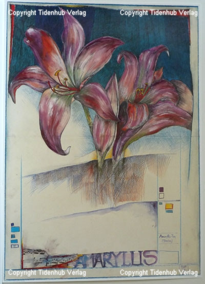 Amaryllis af Ole West