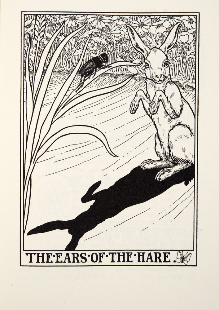 The Ears of the Hare, fra Fontaine Fables, pub. 1905 af Percy J. Billingshurst