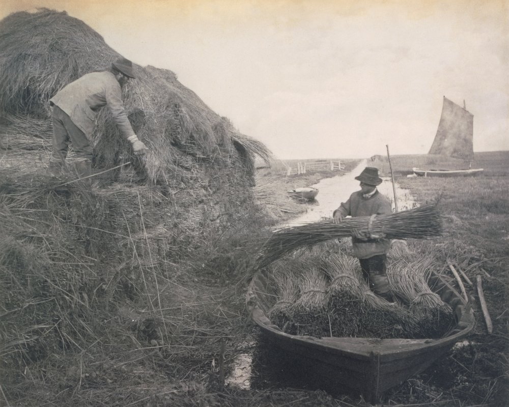 Række i røret, liv og landskab på Norfolk Broads, ca. 1886 af Peter Emerson und Thomas Goodall