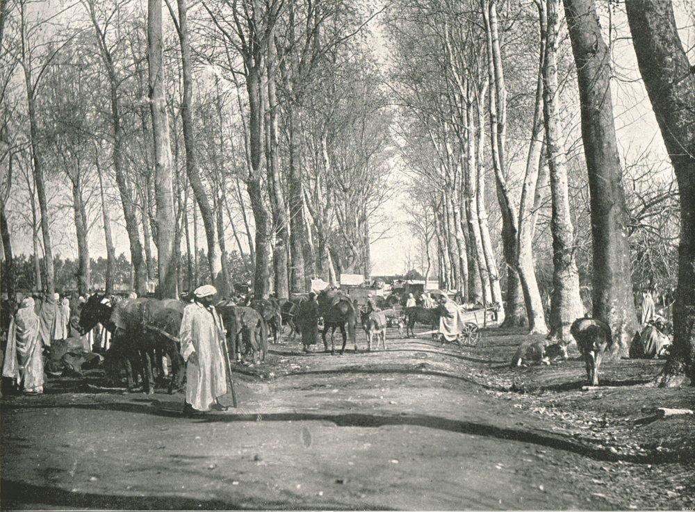 Arabisk messe og marked, Boufarik, Algeriet, 1895. af Poulton and Co