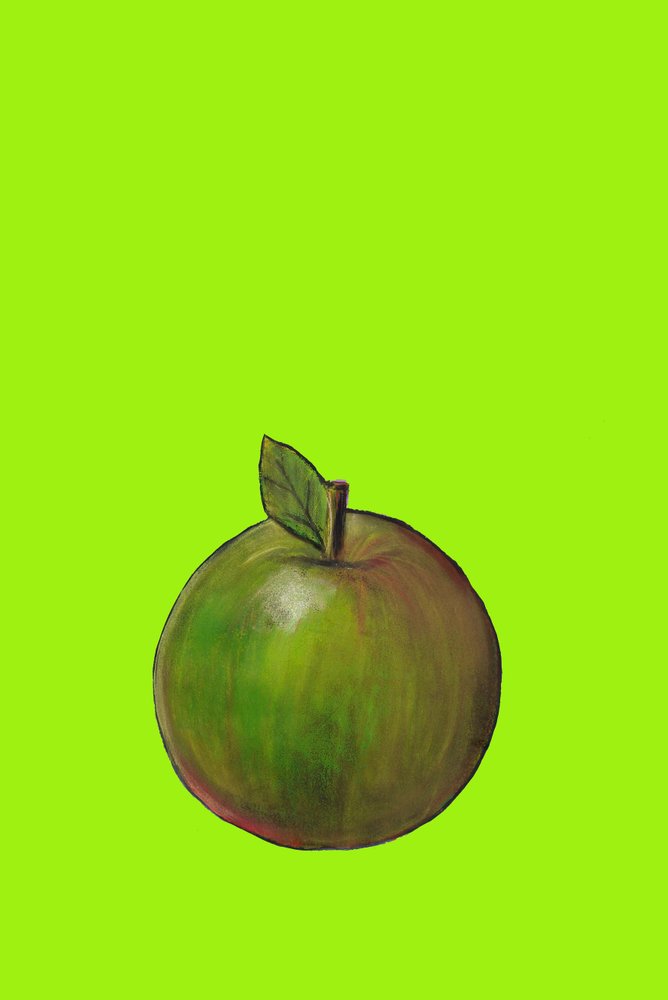 Apple, 2007 (olie og pastel på papir) af Sarah Thompson-Engels