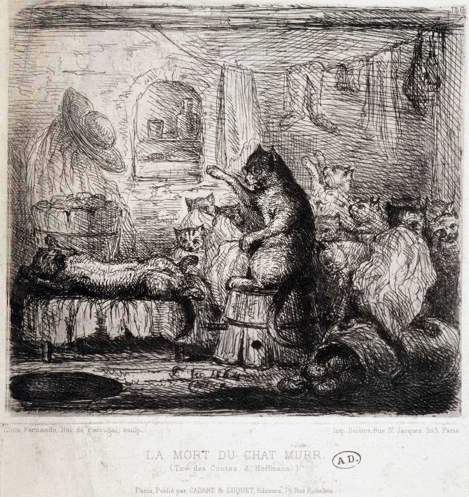 The Death of the Cat Murr (fra Hoffmanns fortællinger) - Tegning, Portugal af School Portuguese
