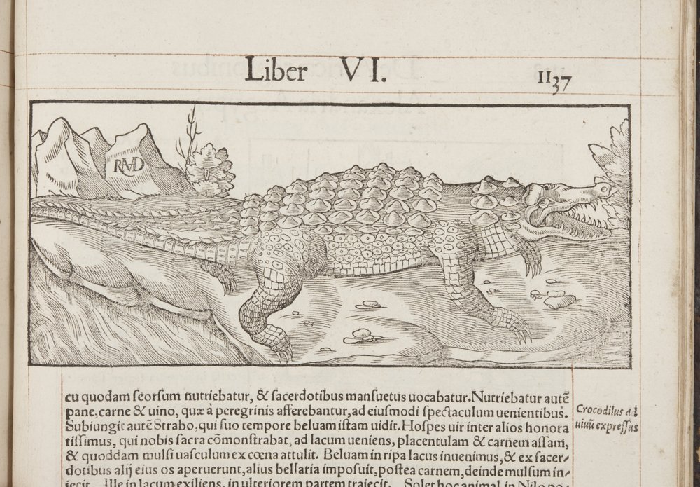 Cosmographia, Fol 1137, 1544 af Sebastian Munster