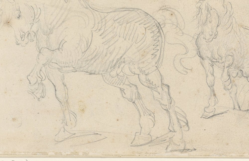Hestestudier af Theodore Gericault