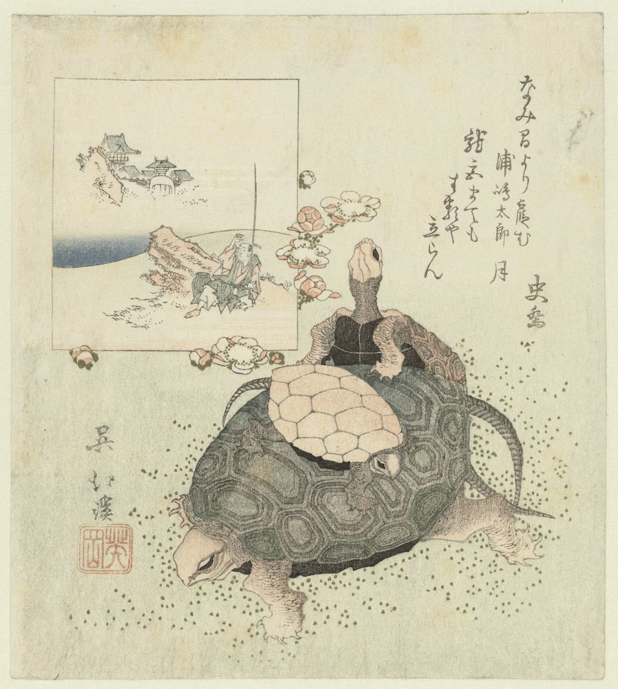 Skildpadder af Totoya Hokkei