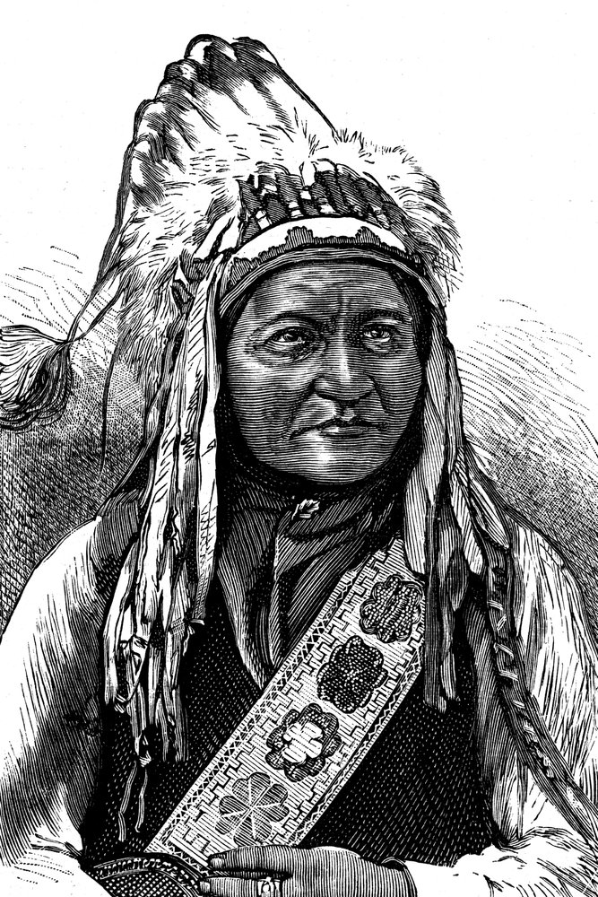 Chief Sitting Bull, amerikansk indianer, 1800-tallet af Unbekannt