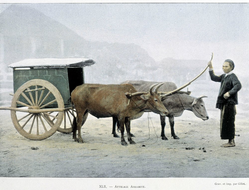 Vietnamesisk Hitch, "" Around the World", slutningen af det 19. århundrede. af Unknown artist