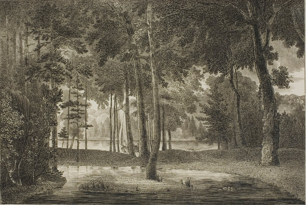 Udsigt fra Elysian Bower af William Birch
