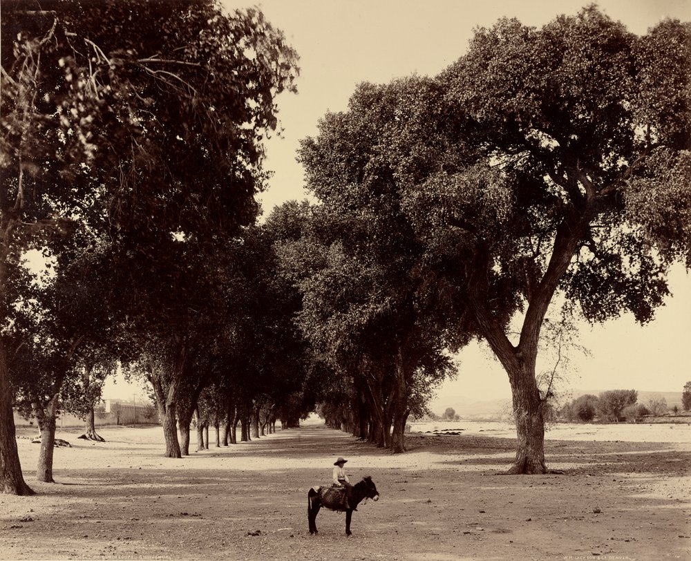 [Calle de Guadeloupe, Chihuahua, Mexico] af William Henry Jackson