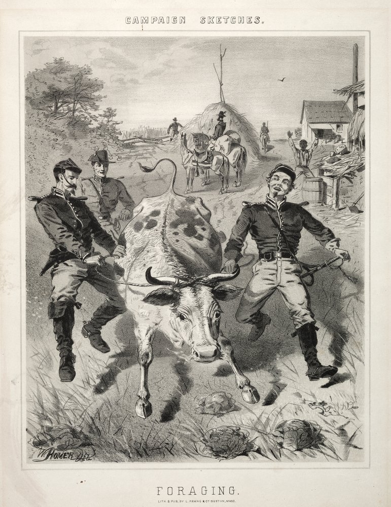 Felttogsskitser: Fouragering af Winslow Homer