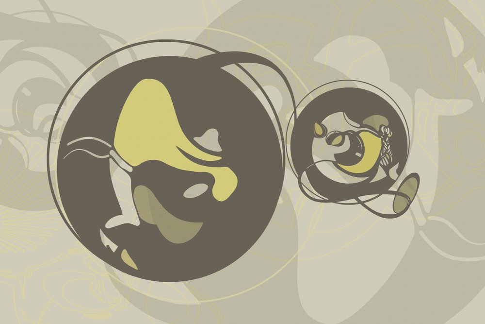 Dynamiske organiske former af Alejandra Winkhaus