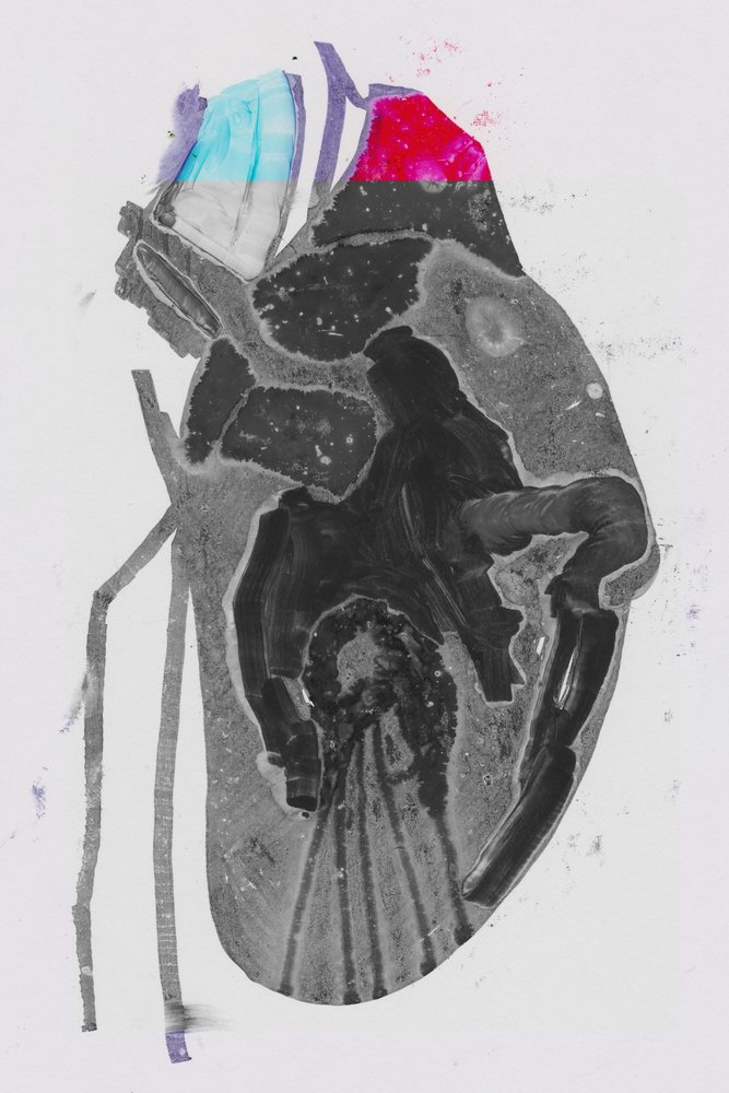 Gennemsnit af Alexander Adiels