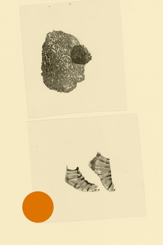 Hovedfod af Alexander Adiels