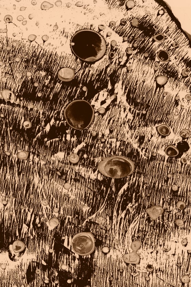 Ilt af Alexander Adiels